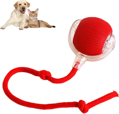 Bolita Smart Pet Ball