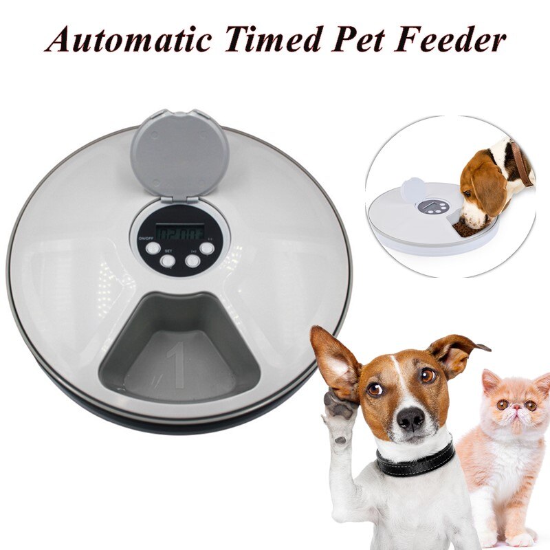 MealTune Pet Feeder