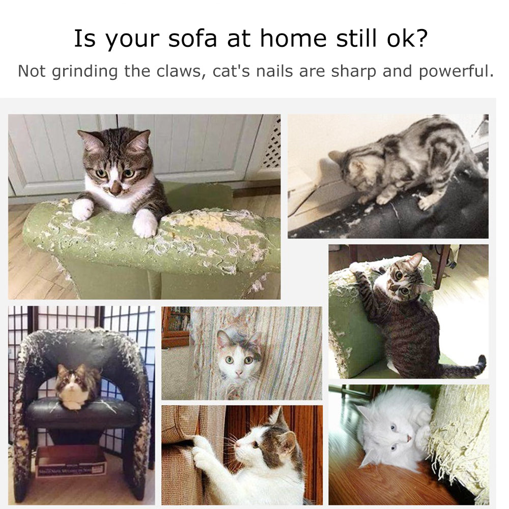 ScratchShield Cat Mat