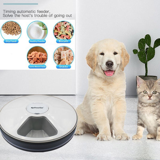 MealTune Pet Feeder