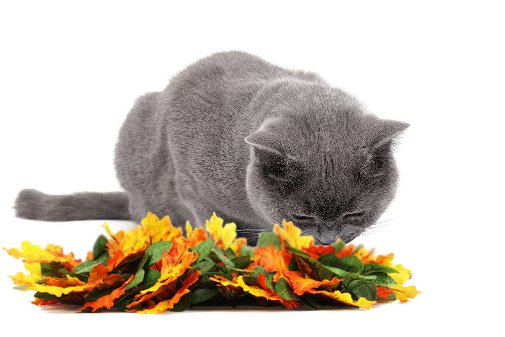 LeafHide Snuffle Mat