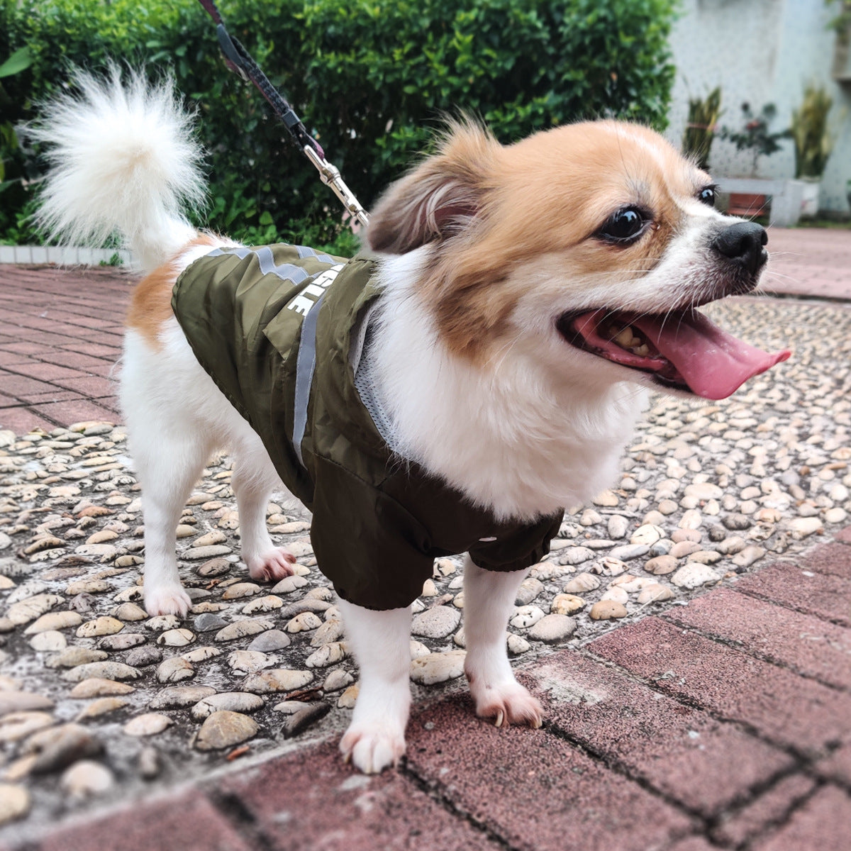 PawShield Raincoat