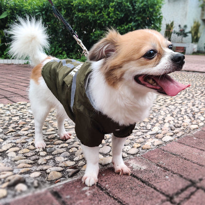 PawShield Raincoat