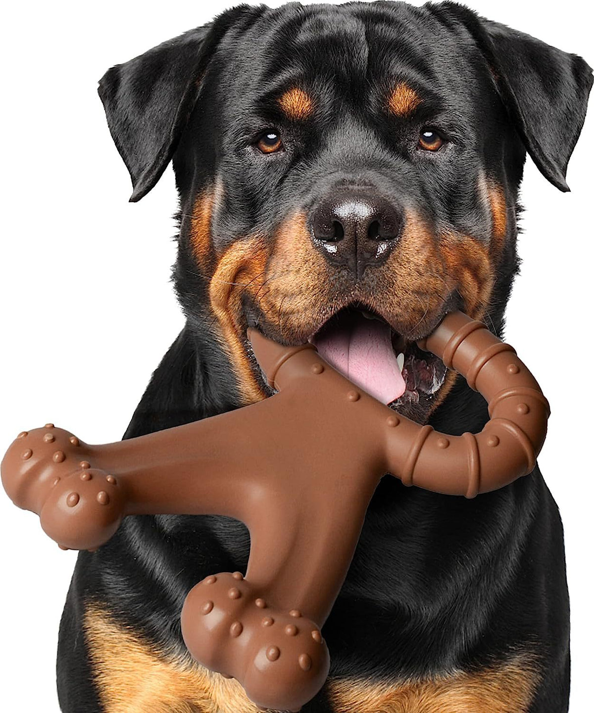 MolarGrip Dog Chew