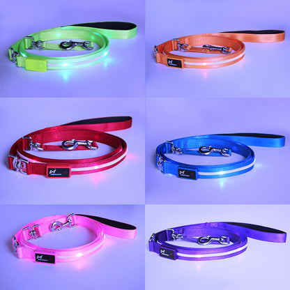 GlowTrail Pet Leash
