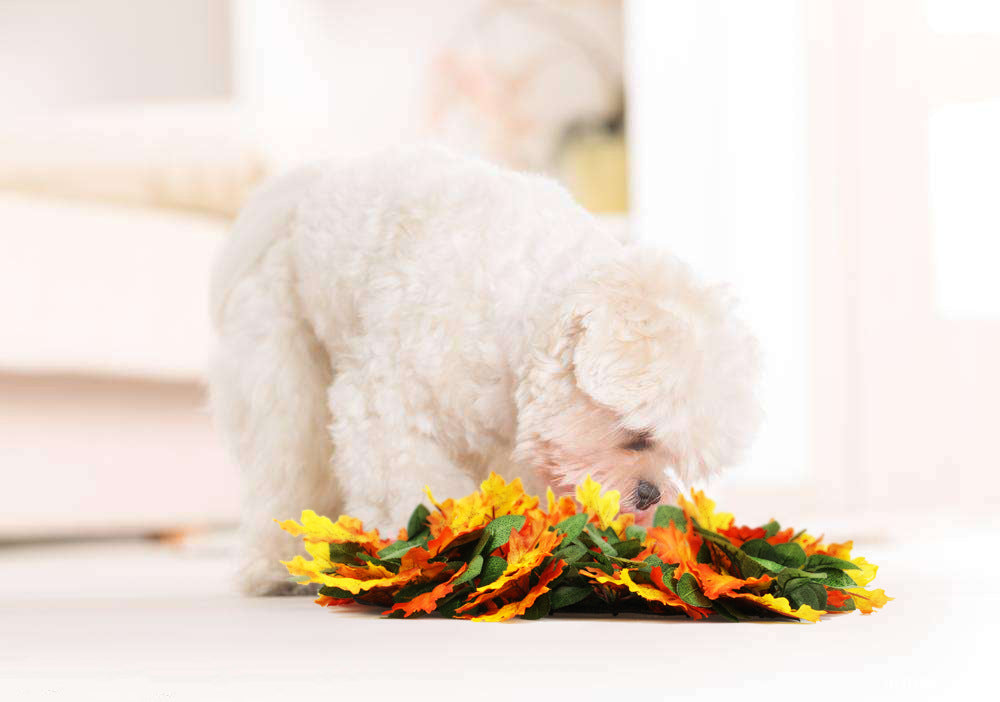 LeafHide Snuffle Mat