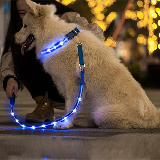 GlowTrail Pet Leash