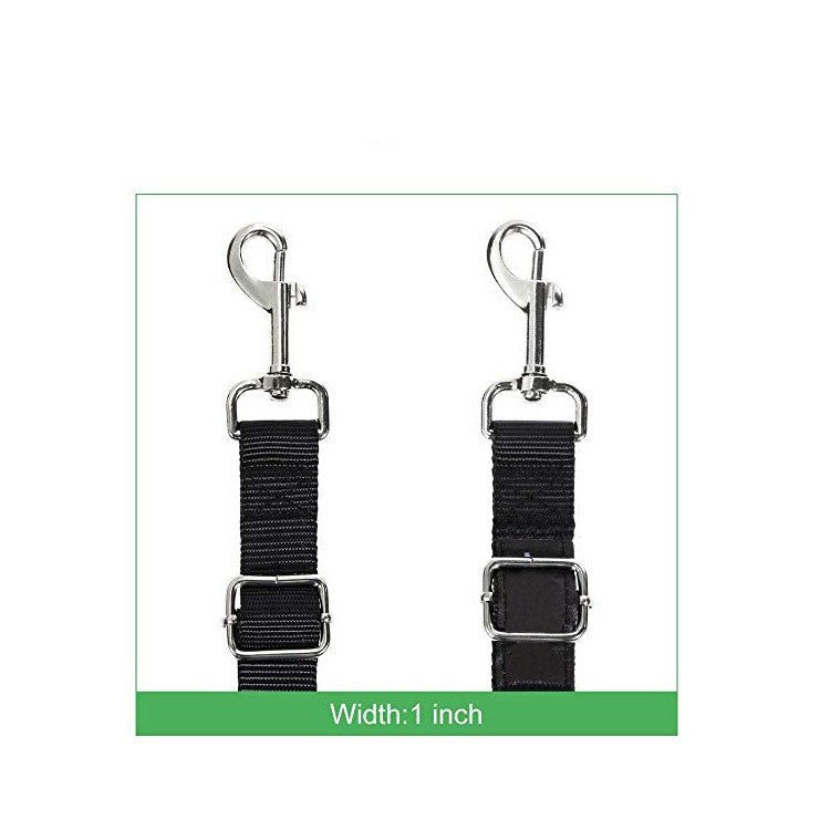 DuoStride Dog Leash