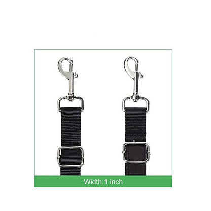 DuoStride Dog Leash