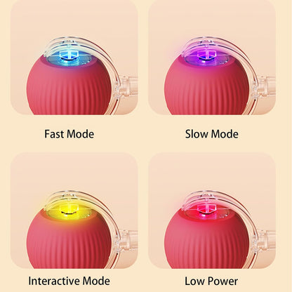 Bolita Smart Pet Ball