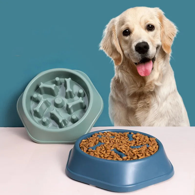 Paw Pace Bowl
