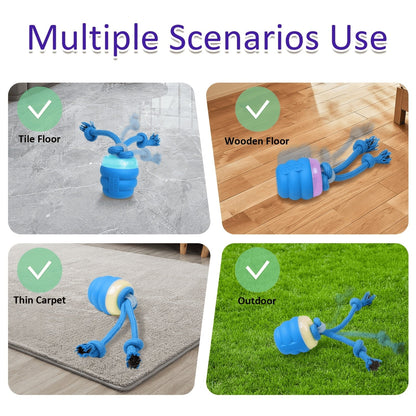 PupMotion Smart Ball