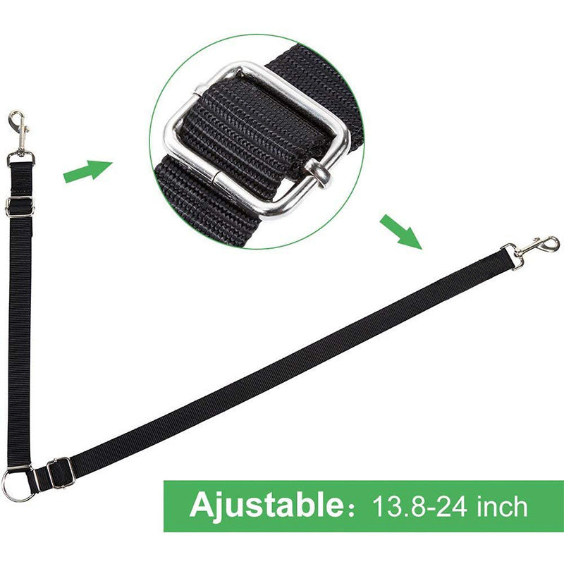 DuoStride Dog Leash