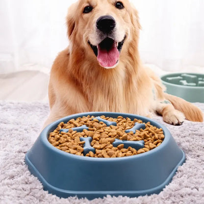 Paw Pace Bowl
