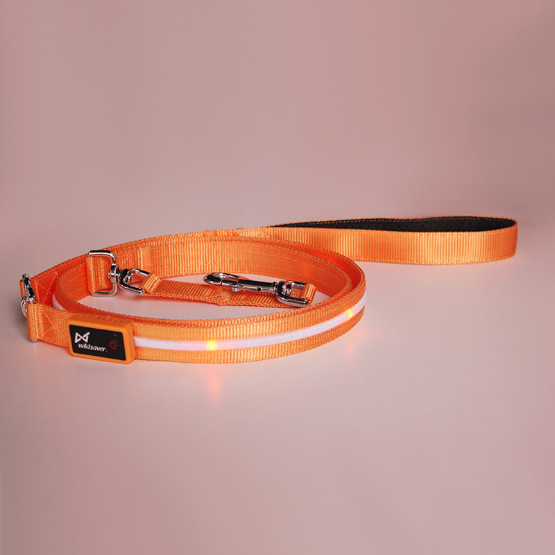 GlowTrail Pet Leash