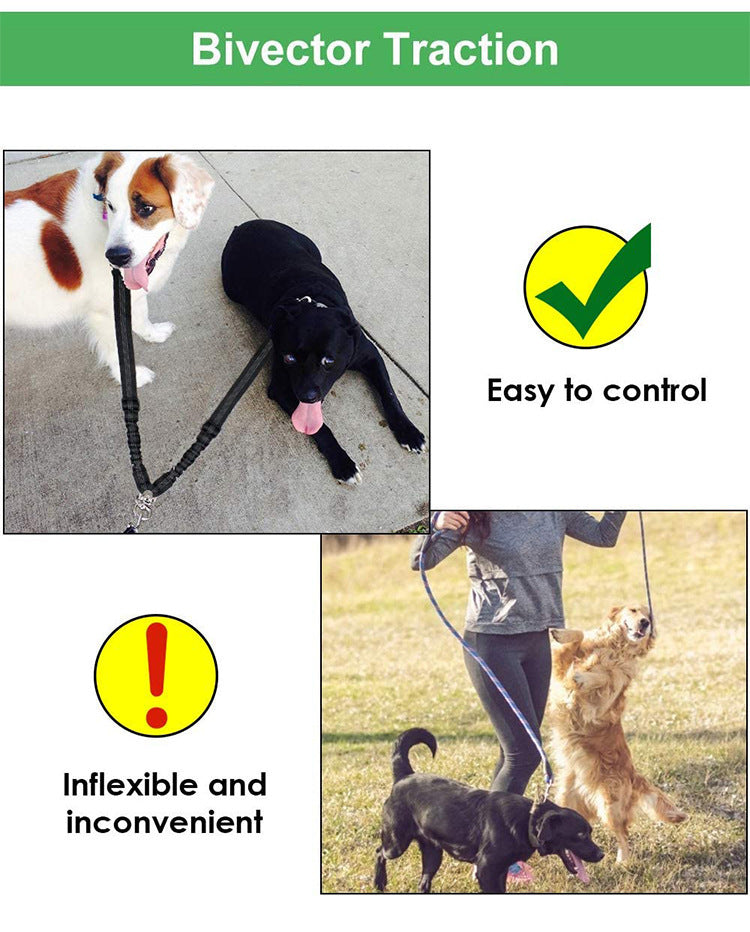 DuoStride Dog Leash