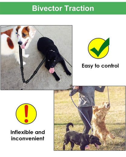 DuoStride Dog Leash