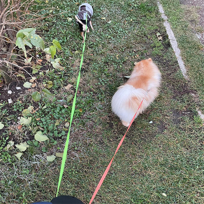 DuoGlow Dog Leash