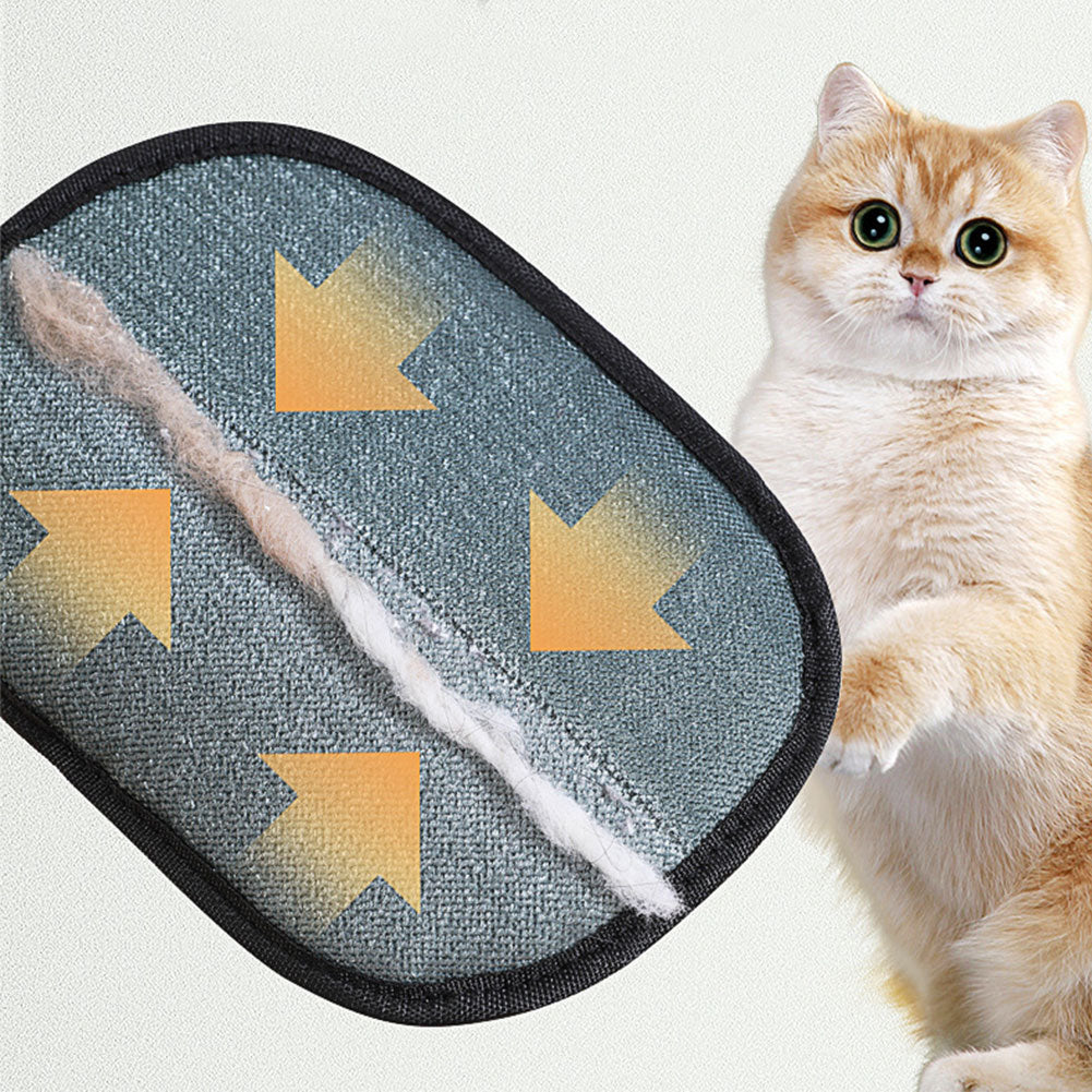 FurSweep Mitt