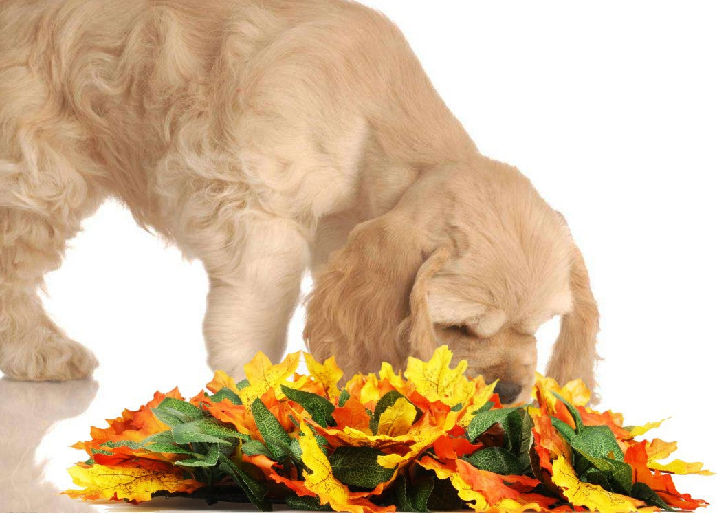 LeafHide Snuffle Mat