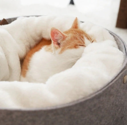 CozyNest Pet Bed