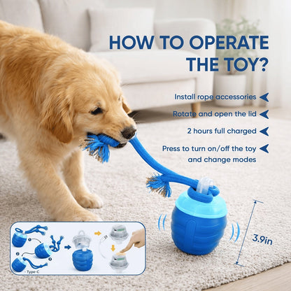PupMotion Smart Ball