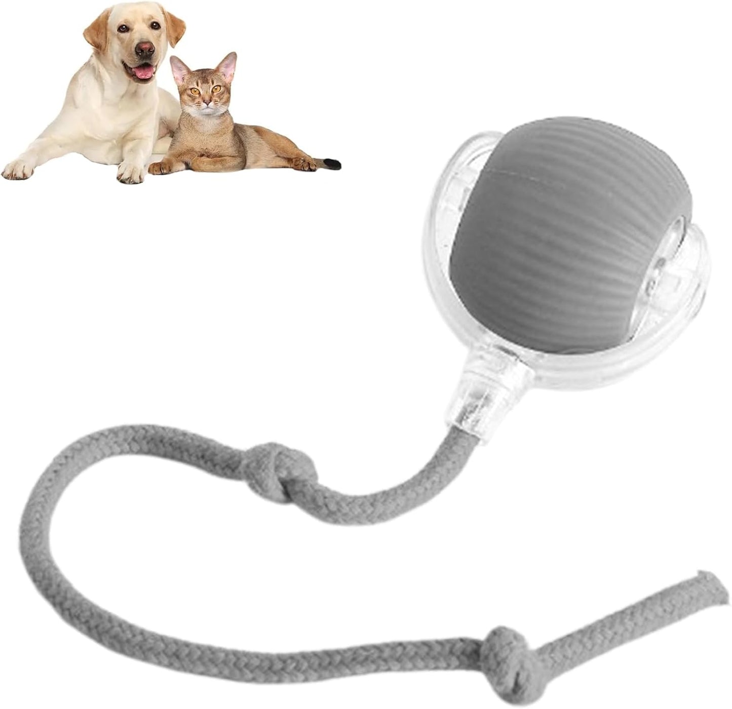 Bolita Smart Pet Ball