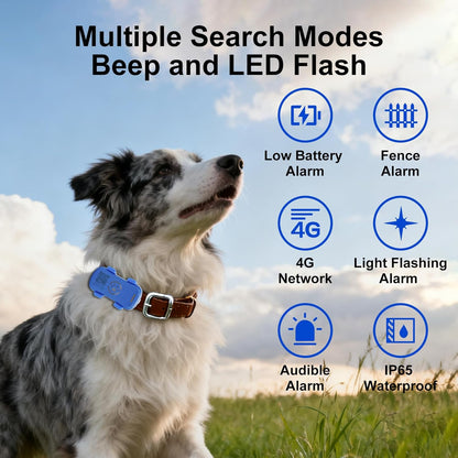 PawTrace GPS Tracker