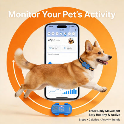 PawPath GPS Tracker