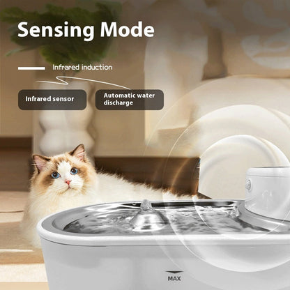 AquaSense – Vattenfontän för katt