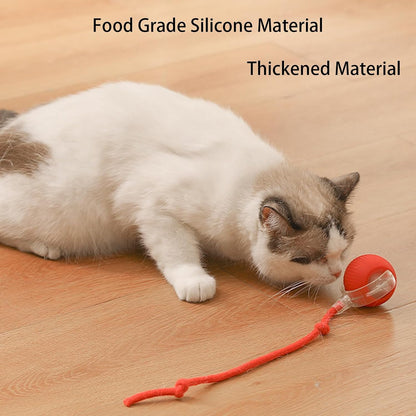 Bolita Smart Pet Ball