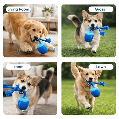PupMotion Smart Ball
