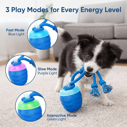 PupMotion Smart Ball