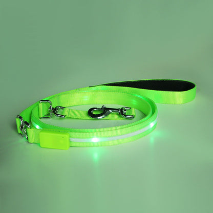 GlowTrail Pet Leash