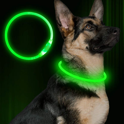 NattTass™ – lysande hundhalsband för kvällspromenader.