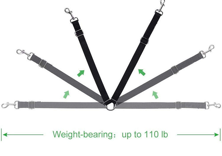 DuoStride Dog Leash
