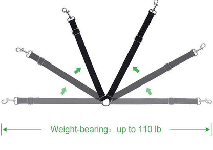 DuoStride Dog Leash