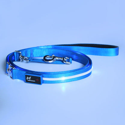 GlowTrail Pet Leash