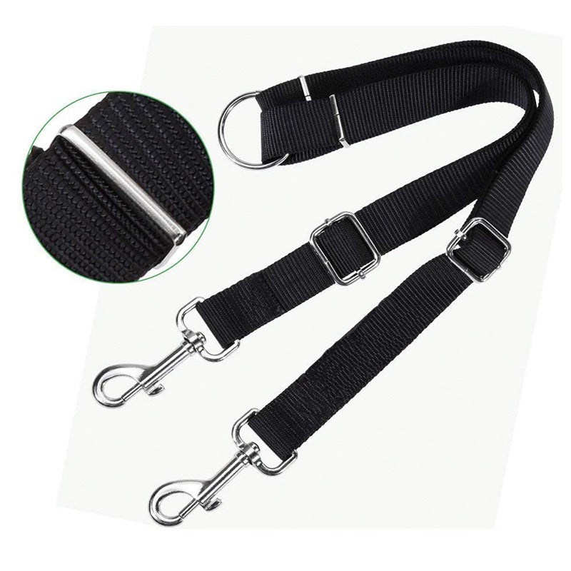 DuoStride Dog Leash
