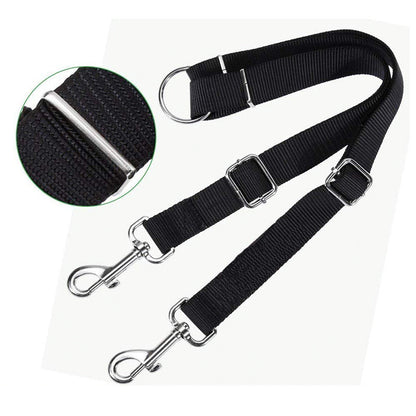 DuoStride Dog Leash