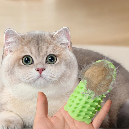 PurrPost Scratch Comb