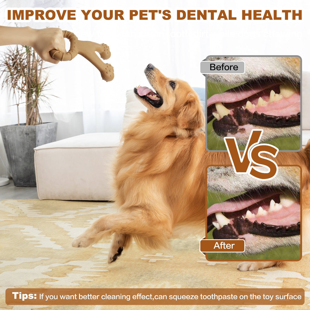 MolarGrip Dog Chew