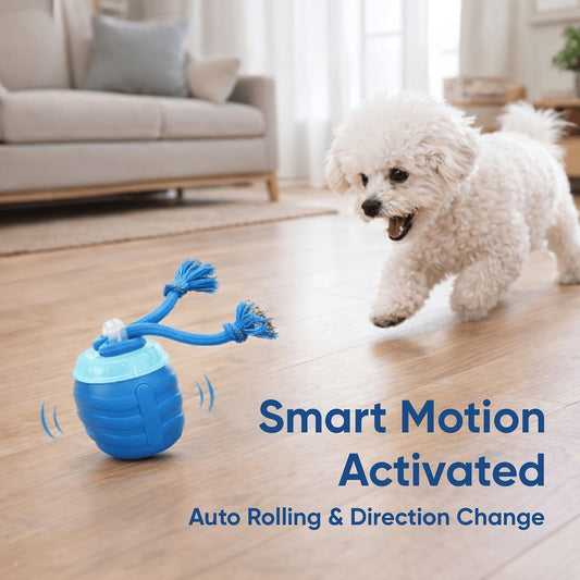 PupMotion Smart Ball