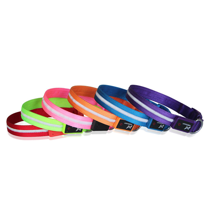 GlowTrail Pet Leash