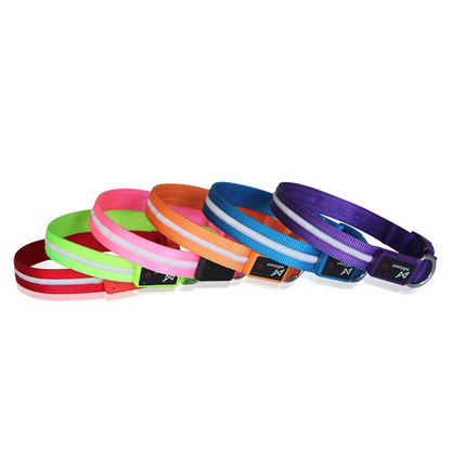 GlowTrail Pet Leash
