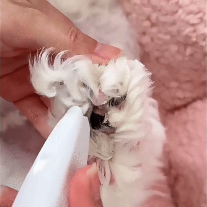PawGroom Pro™