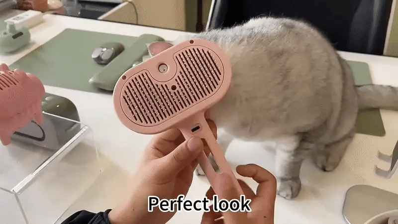FluffyFriend MistBrush